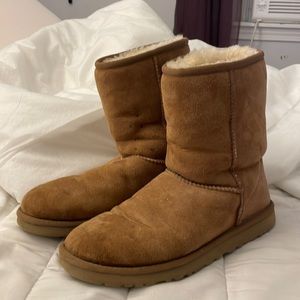Classic Short UGG Boots in Chestnut